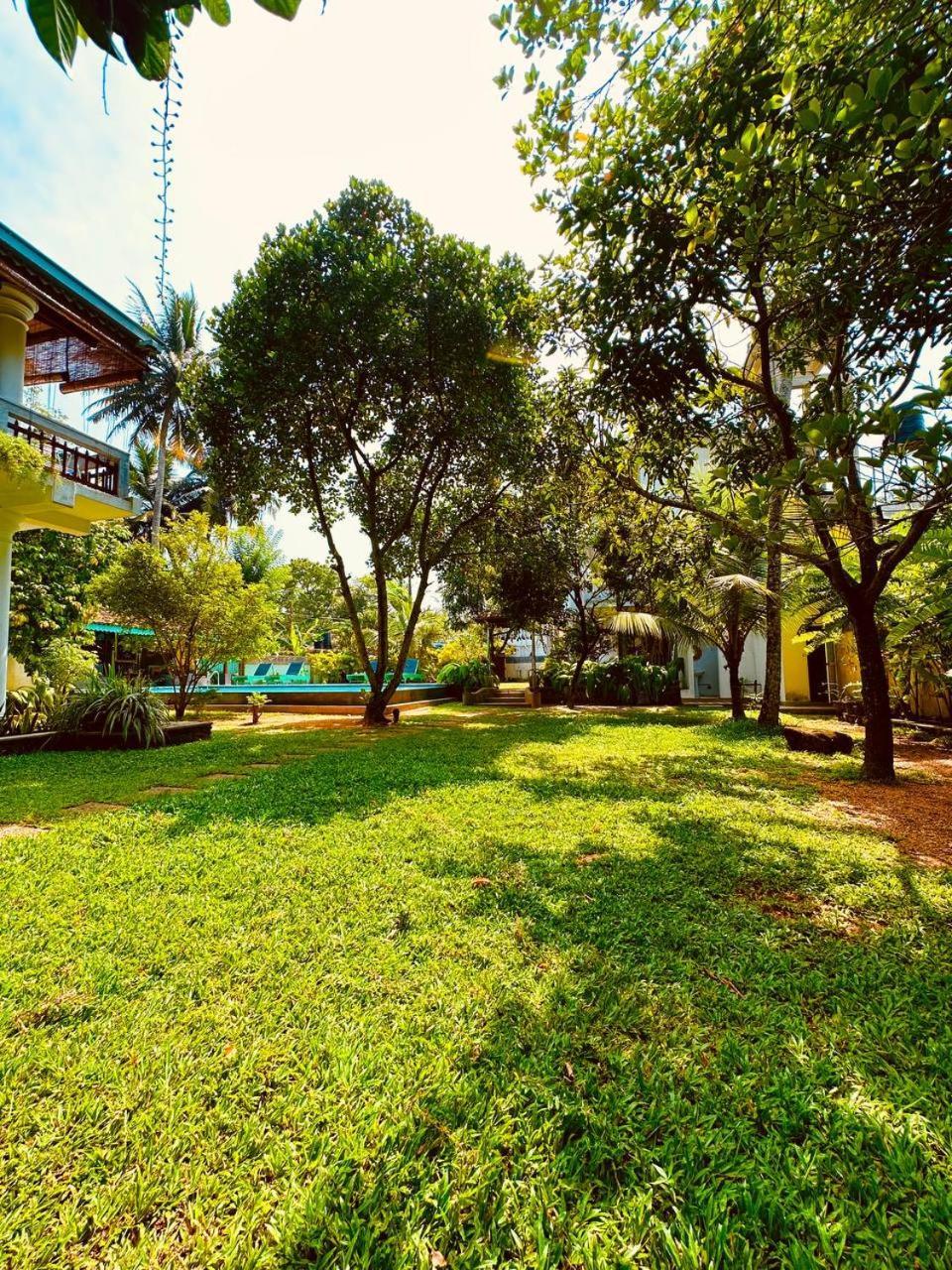 Relocted To Ahangama! Unawatuna Eksteriør billede